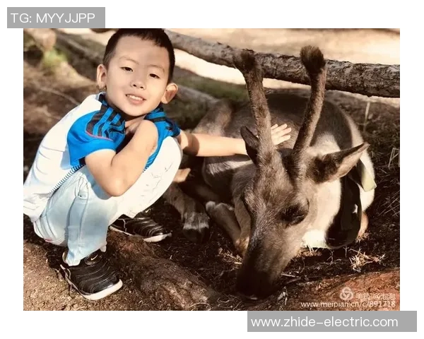 对话杨芳：回顾她的足球生涯与成长历程的深度访谈
